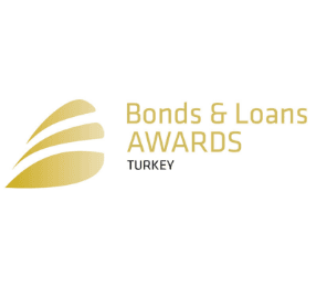 Bonds and Loans